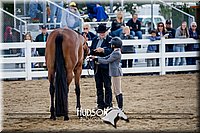 4H-District-17-1313.jpg