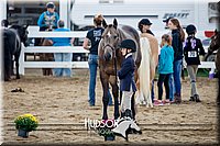 4H-District-17-1314.jpg