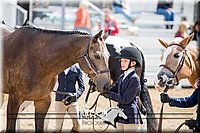 4H-District-17-1315.jpg