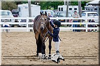 4H-District-17-1328.jpg