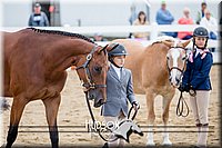 4H-District-17-1332.jpg