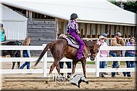 4H-District-17-1373.jpg