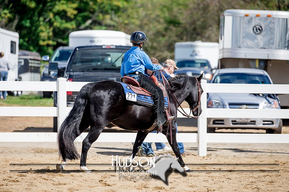 4H-District-17-1416.jpg