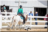 4H-District-17-1417.jpg