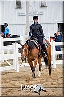 4H-District-17-1478.jpg