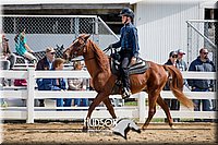 4H-District-17-1484.jpg