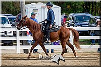 4H-District-17-1488.jpg