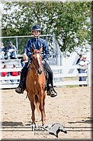 4H-District-17-1495.jpg