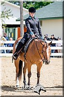 4H-District-17-1502.jpg