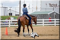 4H-District-17-1509.jpg