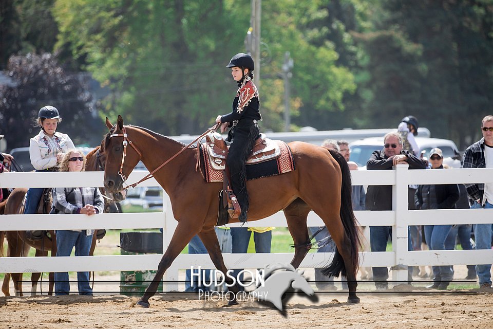 4H-District-17-1554.jpg