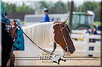 4H-District-17-1519.jpg