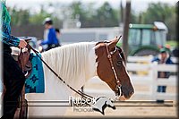 4H-District-17-1520.jpg