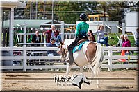 4H-District-17-1527.jpg