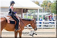 4H-District-17-1530.jpg