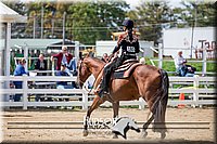 4H-District-17-1539.jpg