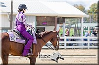 4H-District-17-1545.jpg