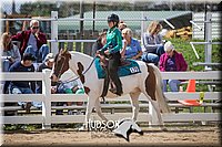 4H-District-17-1558.jpg