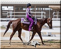 4H-District-17-1575.jpg