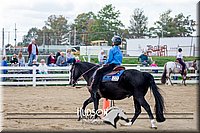 4H-District-17-1587.jpg