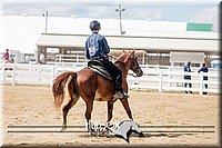 4H-District-17-1596.jpg