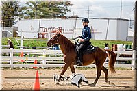 4H-District-17-1602.jpg