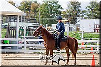 4H-District-17-1603.jpg