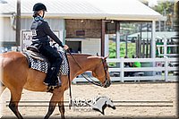 4H-District-17-1619.jpg