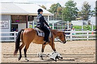 4H-District-17-1620.jpg