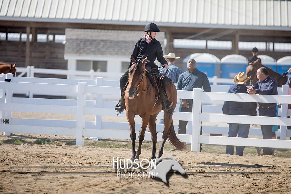 4H-District-17-1687.jpg