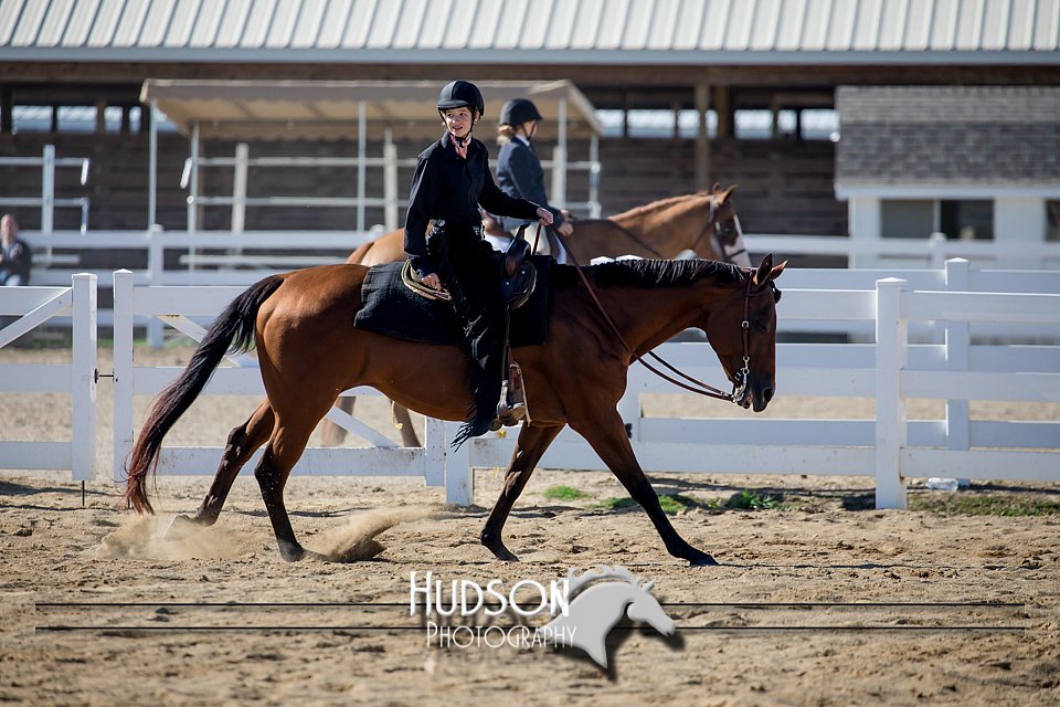 4H-District-17-1701.jpg