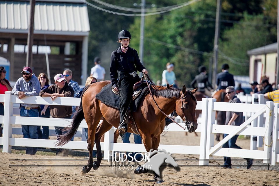 4H-District-17-1703.jpg