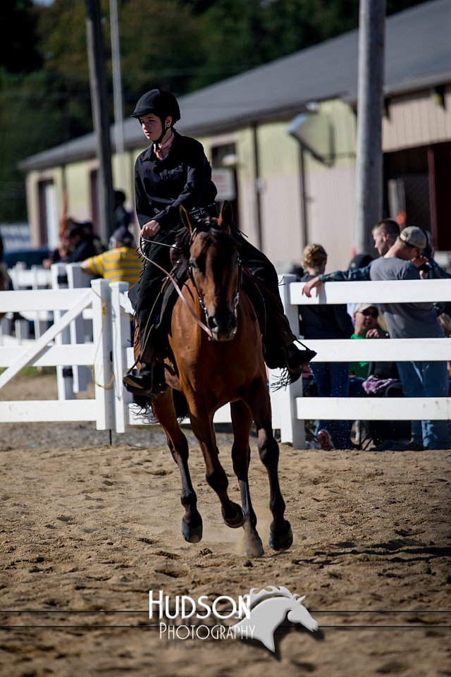 4H-District-17-1704.jpg