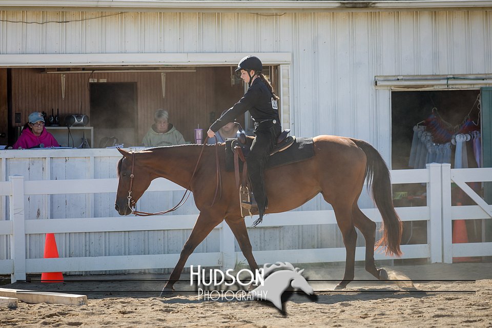4H-District-17-1708.jpg