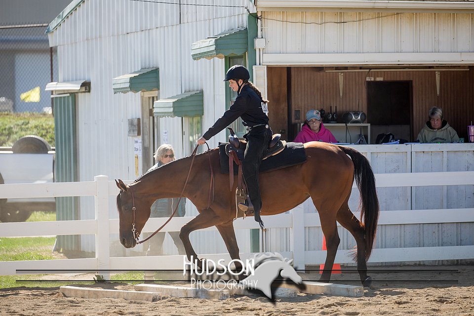 4H-District-17-1709.jpg