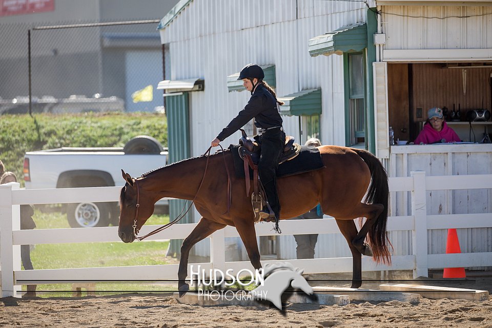 4H-District-17-1710.jpg