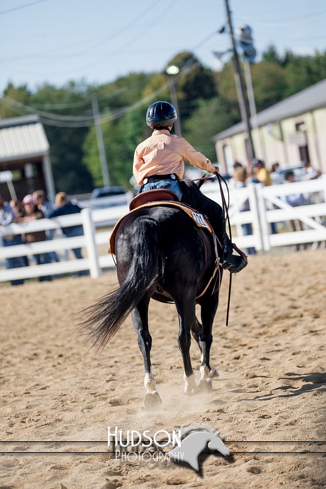 4H-District-17-1719.jpg
