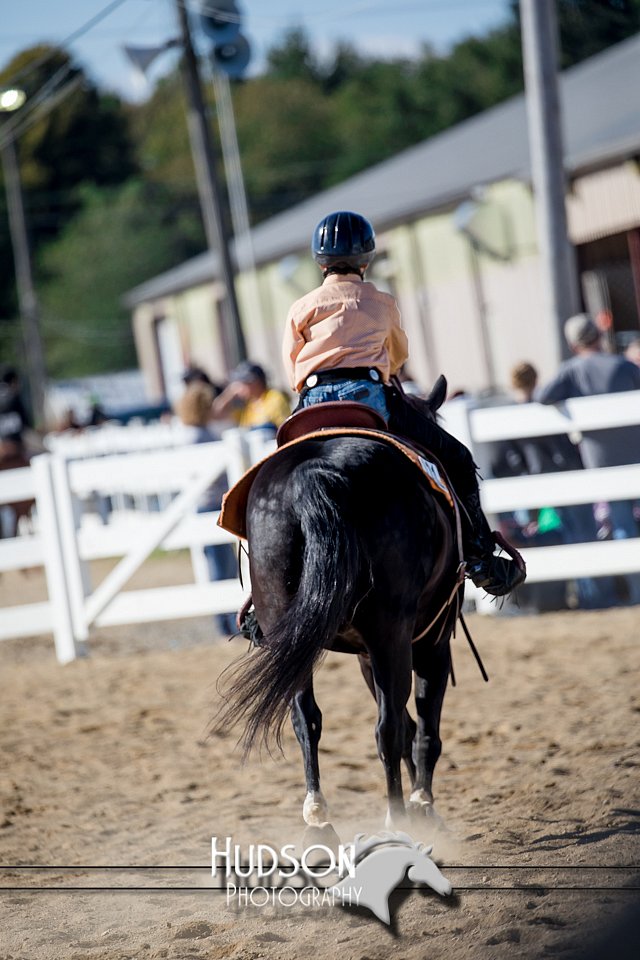 4H-District-17-1720.jpg