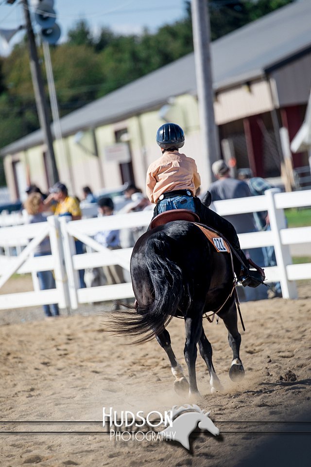 4H-District-17-1722.jpg
