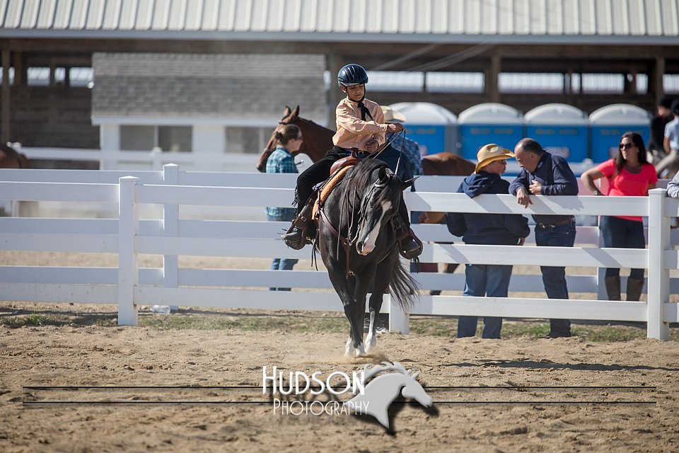 4H-District-17-1724.jpg