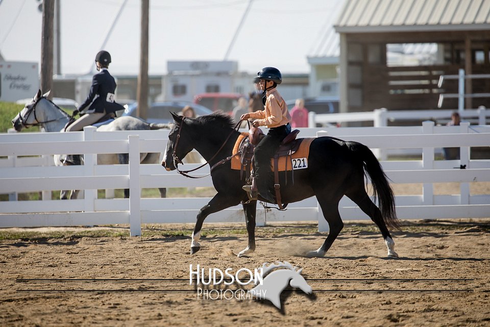 4H-District-17-1725.jpg