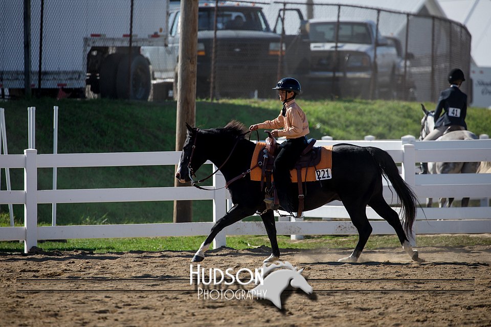 4H-District-17-1726.jpg
