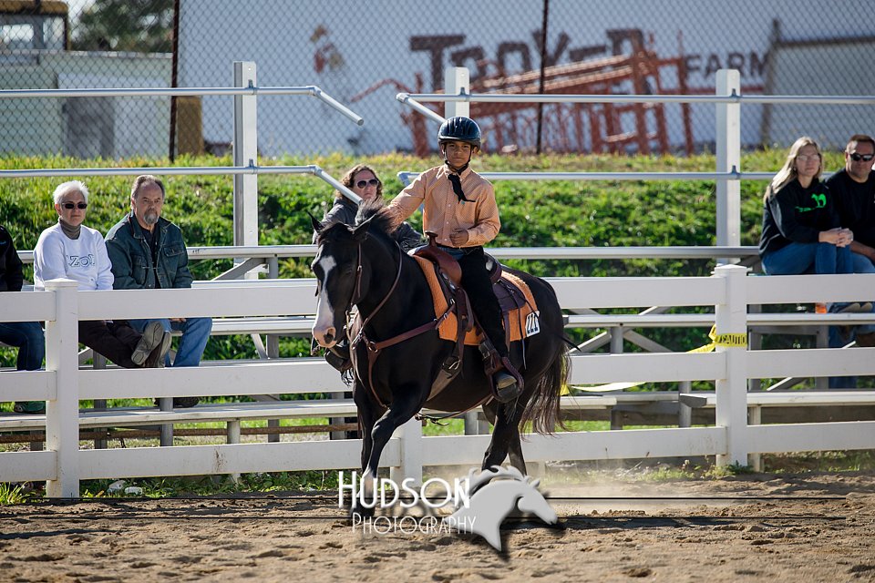 4H-District-17-1729.jpg