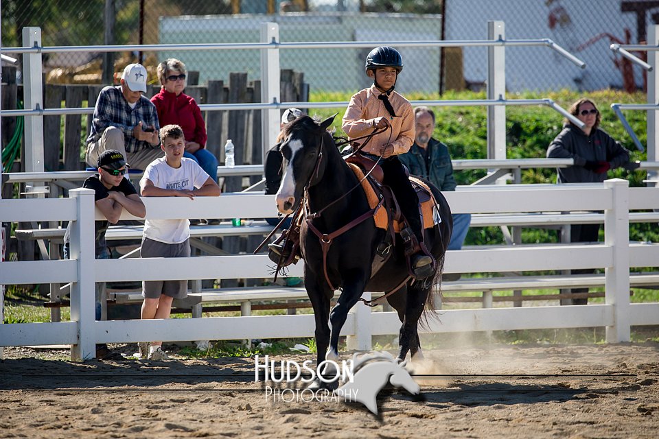 4H-District-17-1730.jpg