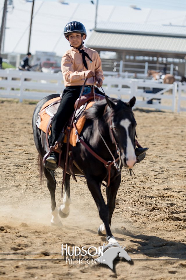 4H-District-17-1731.jpg