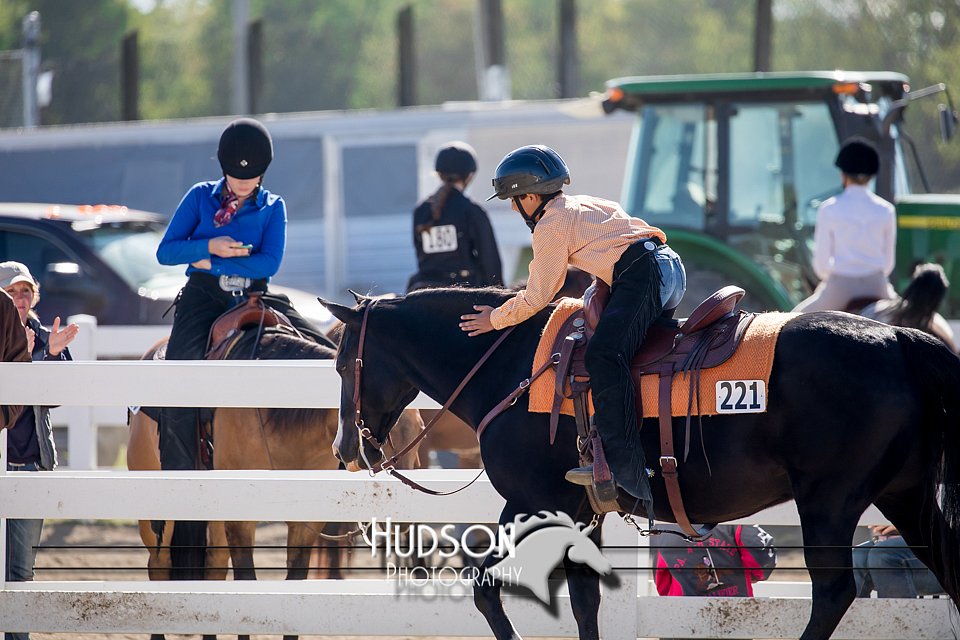 4H-District-17-1745.jpg
