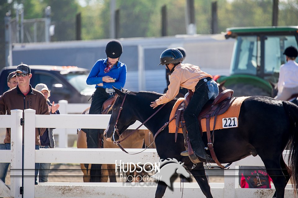 4H-District-17-1746.jpg