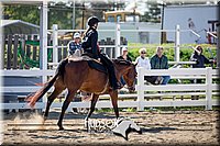 4H-District-17-1700.jpg