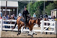 4H-District-17-1703.jpg