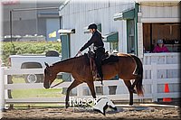 4H-District-17-1710.jpg